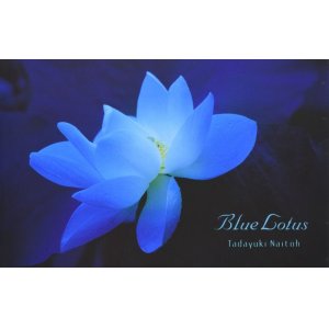 画像: 作品集・内藤忠行「Blue Lotus」ブルー・ロータス