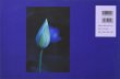 画像2: 作品集・内藤忠行「Blue Lotus」ブルー・ロータス