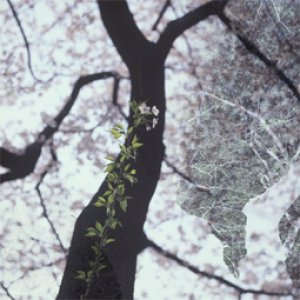 画像: 花見　HANAMI