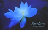 画像: Blue Lotus ブルー　ロータス